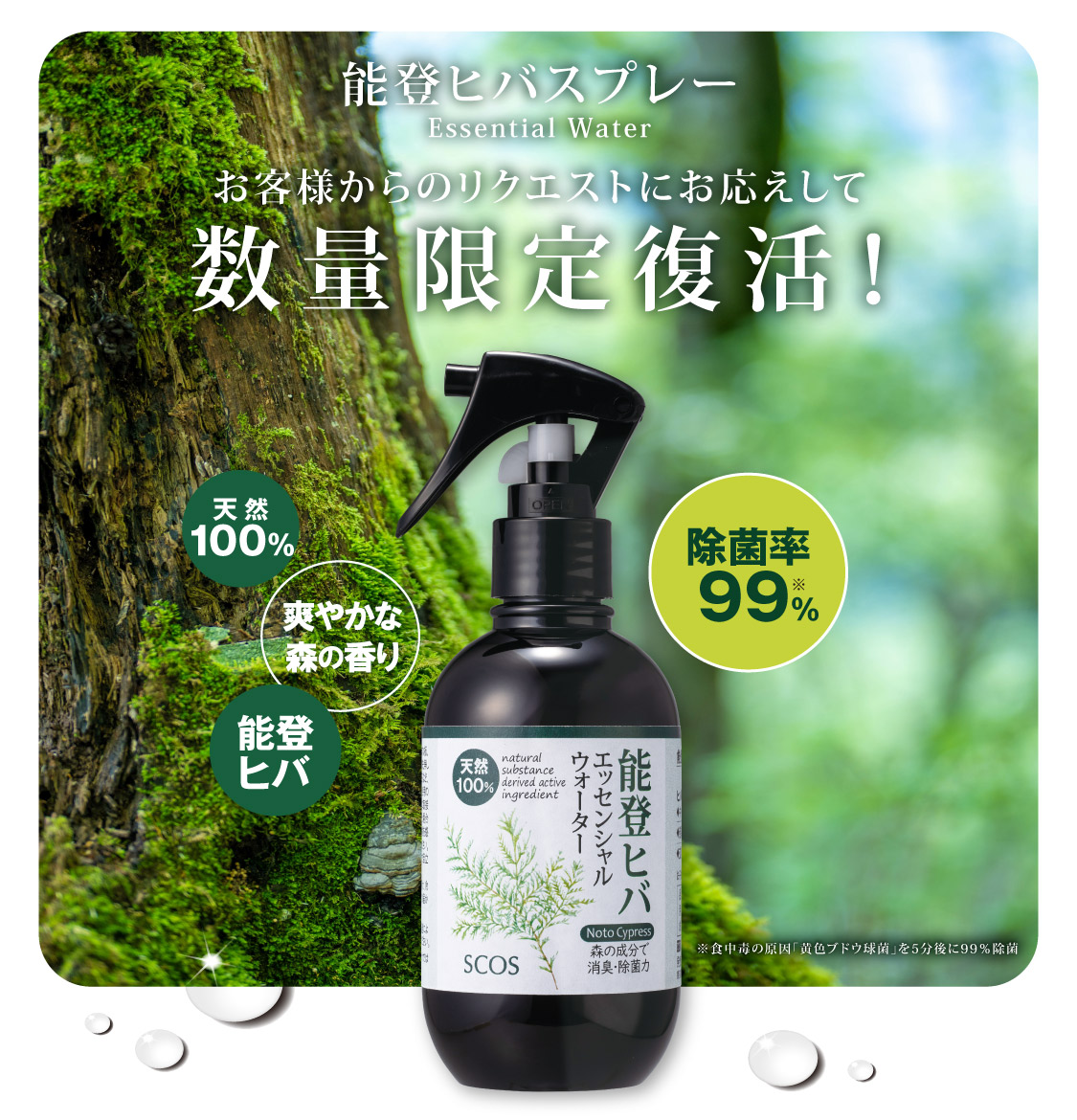 能登ヒバスプレー